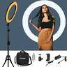 934612 Zomei Led Ring Light With Stand Dimmable Kit 934612 Zomei Led Ring Light With Stand Dimmable Kit