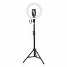 Crzb12-b01 Crzb12-b0 Baseus Led Ring Light Phone Kit Selfie Photography 6953156227347