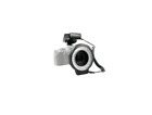 Dlrl60 Dot Line Corp 60 0034447033192
