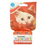 19-2 Packs Vintage Kitten Photo Sylvania -blue Dot Hi-power Flash Cubes. Fixed Price $49.99.